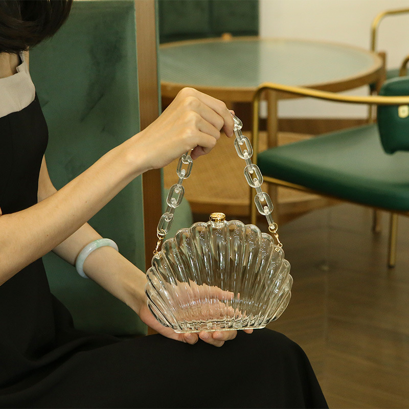 Transparent Acrylic Shell bag  - Women Bags Ysl 评论和价格