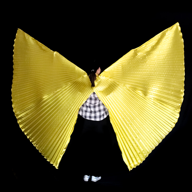 Belly Dance Wings Isis Wings A - Women Bags Egypt 评论和价格