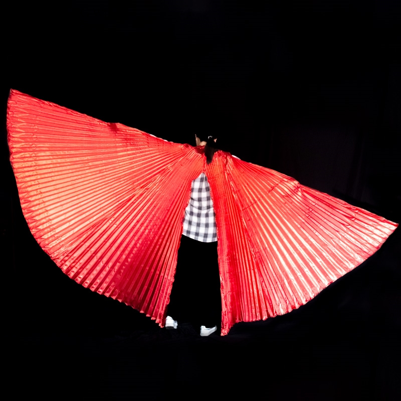 Belly Dance Wings Isis Wings A - Women Bags Egypt 评论和价格