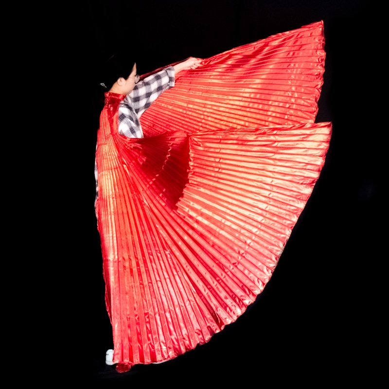 Belly Dance Wings Isis Wings A - Women Bags Egypt 评论和价格